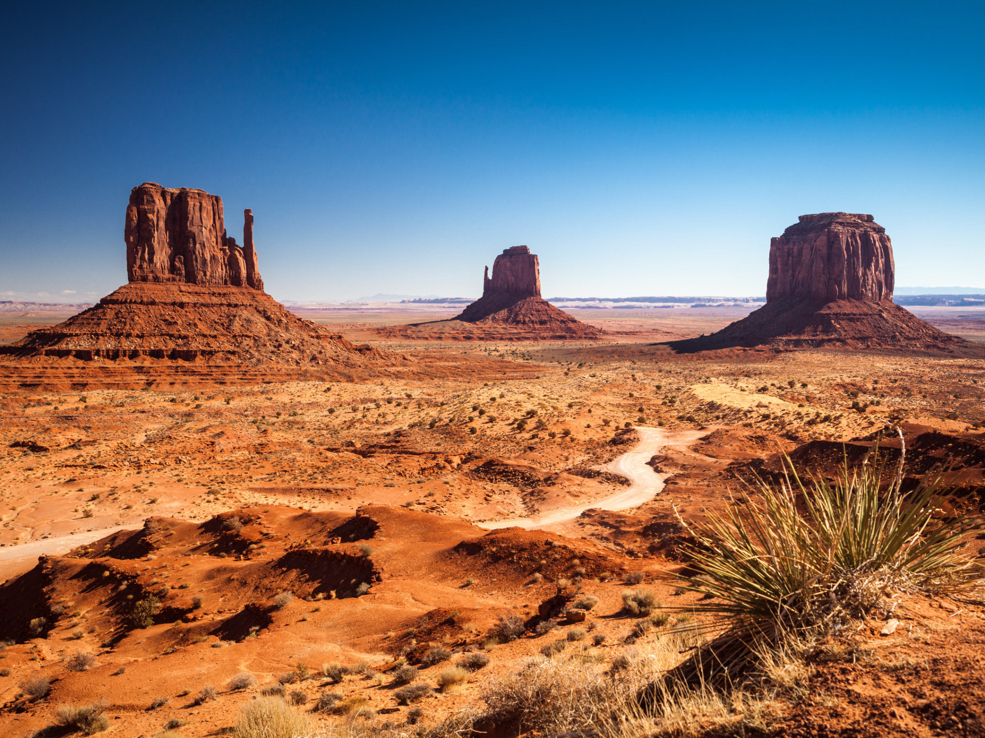Arizona