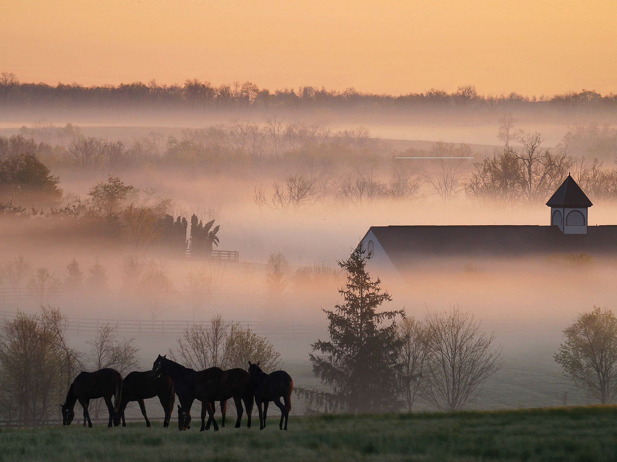 Kentucky